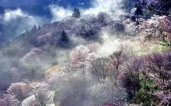 诗意到极致的江南小镇,最有韵味江南小城