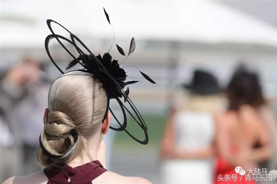 赛马节马的装扮,第27届迪拜赛马世界杯