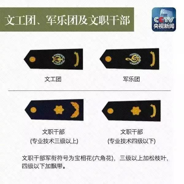 如何识别解放军军衔等级,解放军士官军衔等级