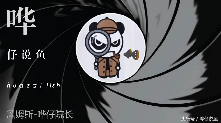 为啥我鱼缸的水老是有沫子,养鱼的鱼缸里有小小的泡泡是什么