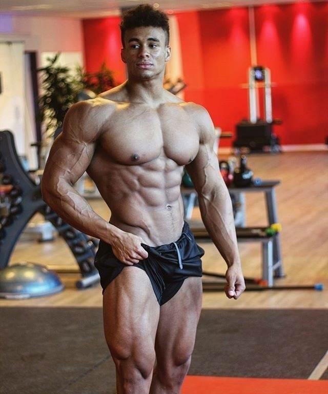 健美运动员腹肌训练计划,练腹肌胸肌训练计划