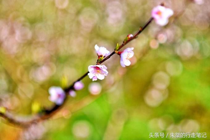 九十里山水画廊，从万亩桃花开始（淮南-六安自驾三日旅游攻略）