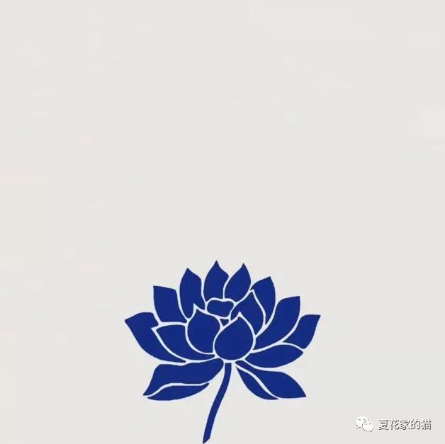 常见猫咪寄生虫,猫咪寄生虫拔除过程