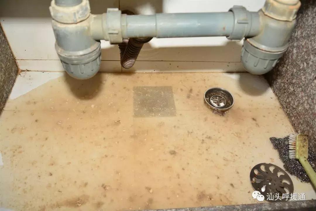 双手掏去残菜污物？金碧庄蔡伯感叹，来得早不如来得巧！