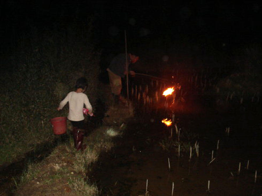 照泥鳅用什么工具,照泥鳅用什么颜色灯光好