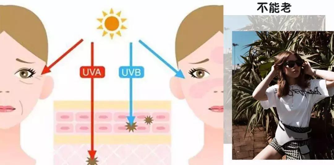 防晒霜真心推荐,安耐晒防晒霜哪一款好用