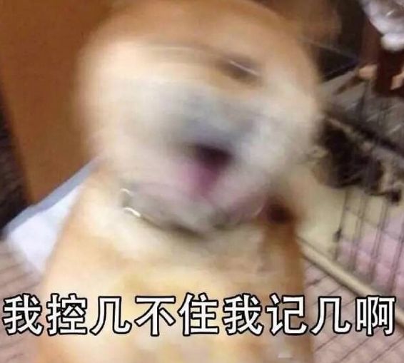 养猫铲屎官注意事项,铲屎官爱猫的三种境界