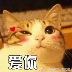 重磅！大连1200个小区最新房价出炉，看你家房子是涨了还是跌了？