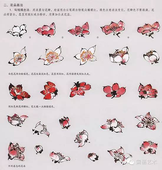 桃花的步骤画法，春天桃花盛开手把手教你画。