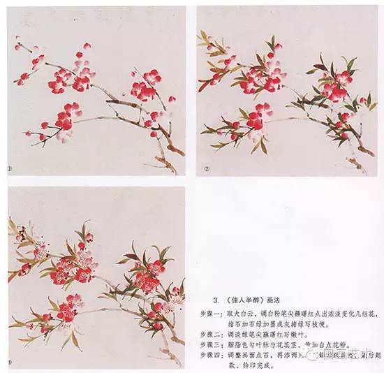 桃花的步骤画法，春天桃花盛开手把手教你画。