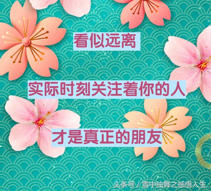 人情淡薄的世间哪里有真正的朋友,人情淡薄世态炎凉冷暖自知的句子