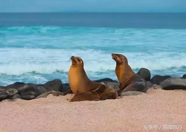 泰国9个最不能错过的美丽海岛,比普吉岛还美的度假天堂