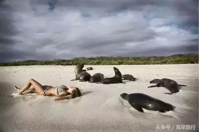 泰国9个最不能错过的美丽海岛,比普吉岛还美的度假天堂