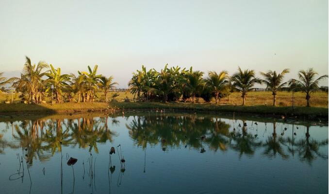 爱吃爱玩的旅行者清迈特色体验学做一顿秀色可餐的泰国菜！