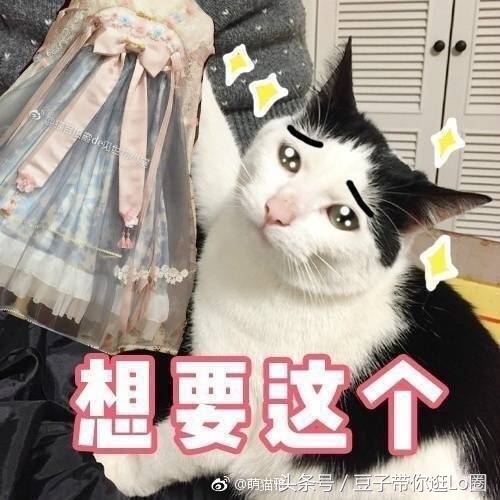 这条裙子看起来很漂亮,这条裙子很漂亮