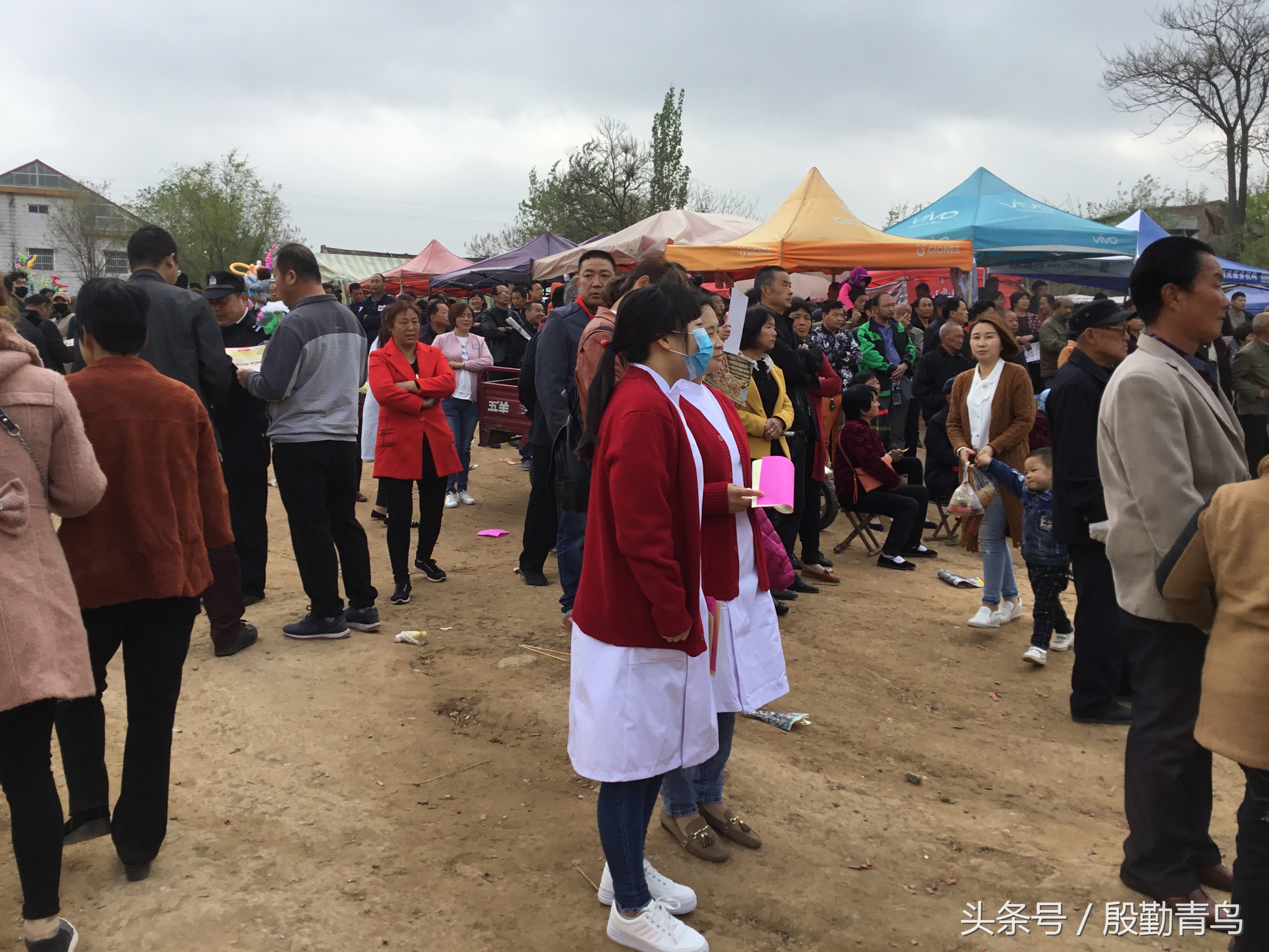 灵宝故县盘西庙会,灵宝市各乡镇庙会