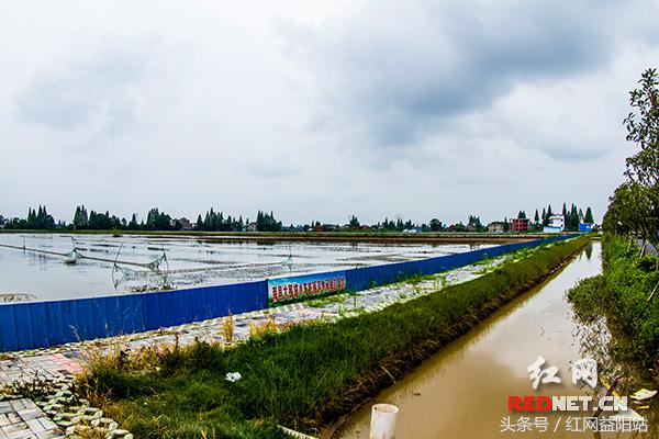 弘扬运河文化,弘扬长征精神走好乡村振兴之路