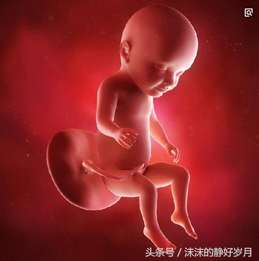 小孩会有胎儿时期的记忆吗,小孩可以记得在妈妈肚子里的事吗