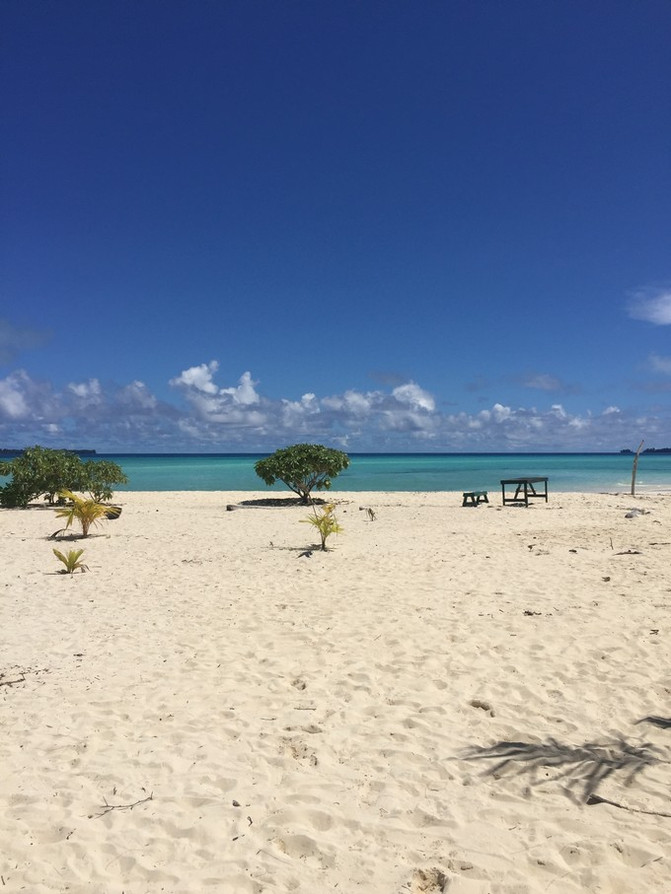 离开喧嚣的城市去野外生活三年,逃离都市喧嚣回归心灵栖居地