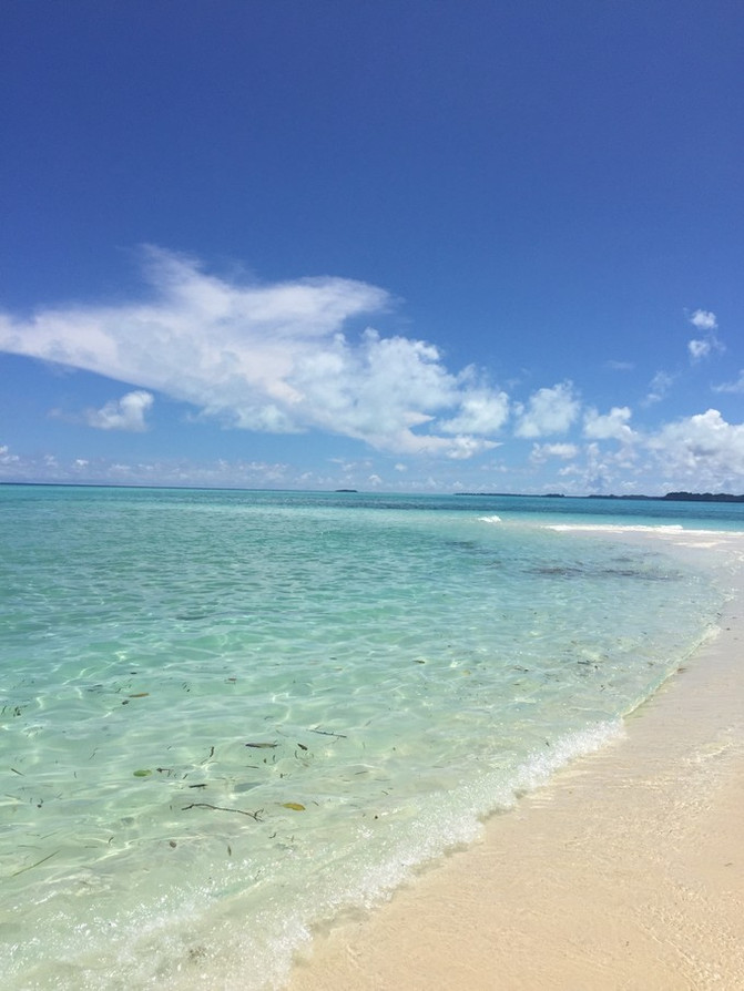 离开喧嚣的城市去野外生活三年,逃离都市喧嚣回归心灵栖居地