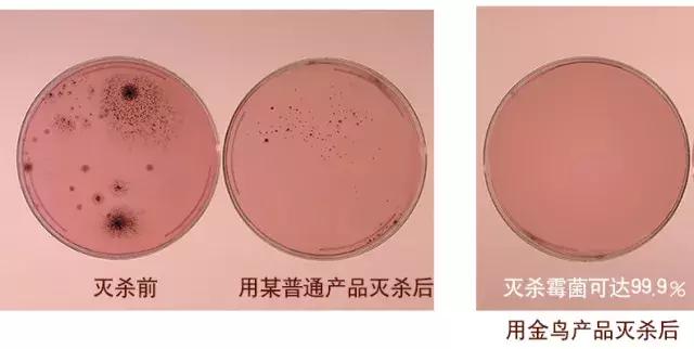 霉菌感染用什么喷雾比较好,潮湿的霉菌用什么消毒比较好
