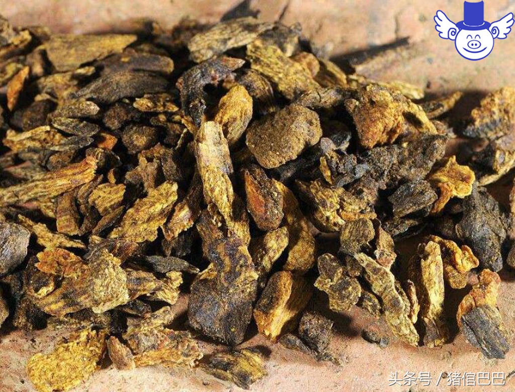 怀孕母猪不能用哪些中药,不可轻易食用的中药