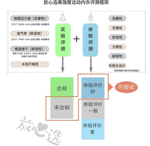 健身女性高级感内衣,健身美背内衣常规款