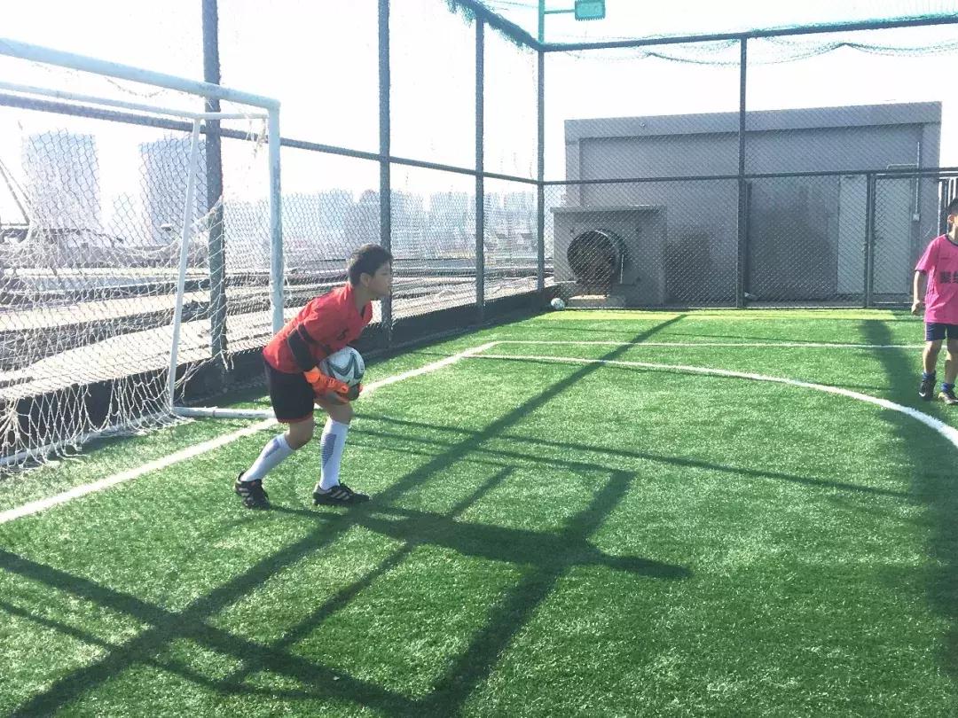 亲子运动会开场热身互动,亲子运动会开场热身最新