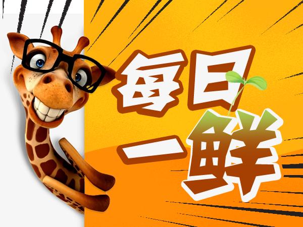 五十岁大妈鬼步舞,女子带领50岁大妈跳鬼步舞