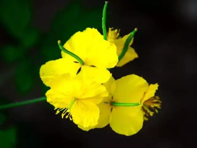 密云名胜的来历,密云神秘景观