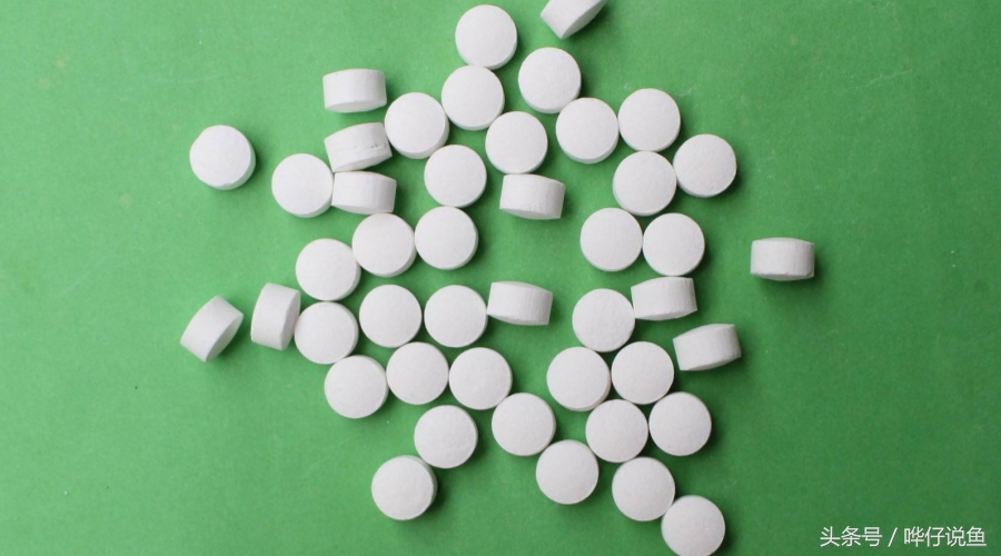 养鱼如何不死,养鱼不死鱼先学会鱼缸消毒