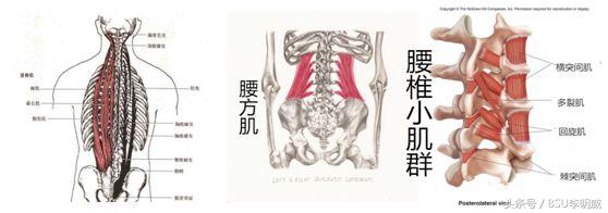 久坐腰痛如何有效康复,久坐腰痛如何快速恢复