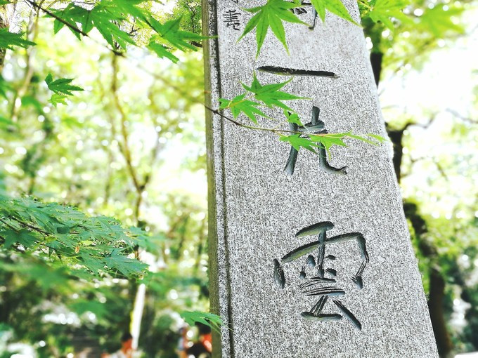 九溪虽小你却没用心体验过，别有一方风味