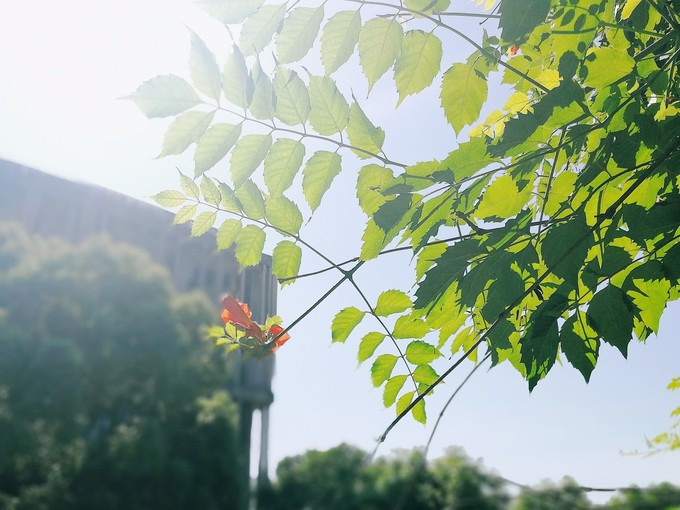 涔濇邯鐙竴鏃犱簩,涔濇邯娓哥帺鎰熸偀