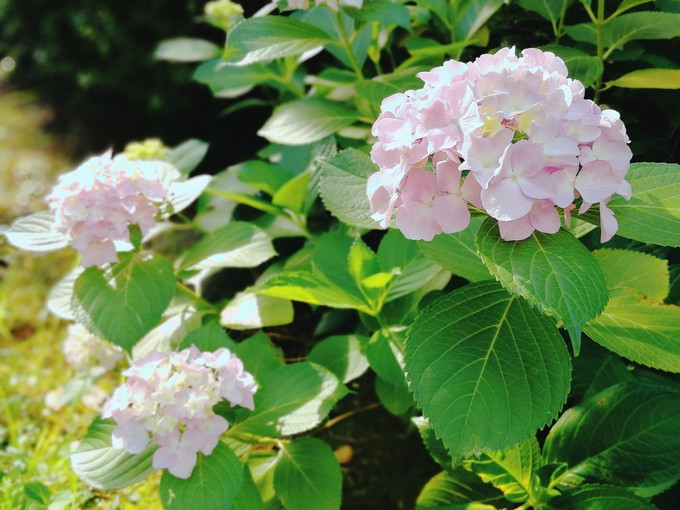 九溪虽小你却没用心体验过，别有一方风味