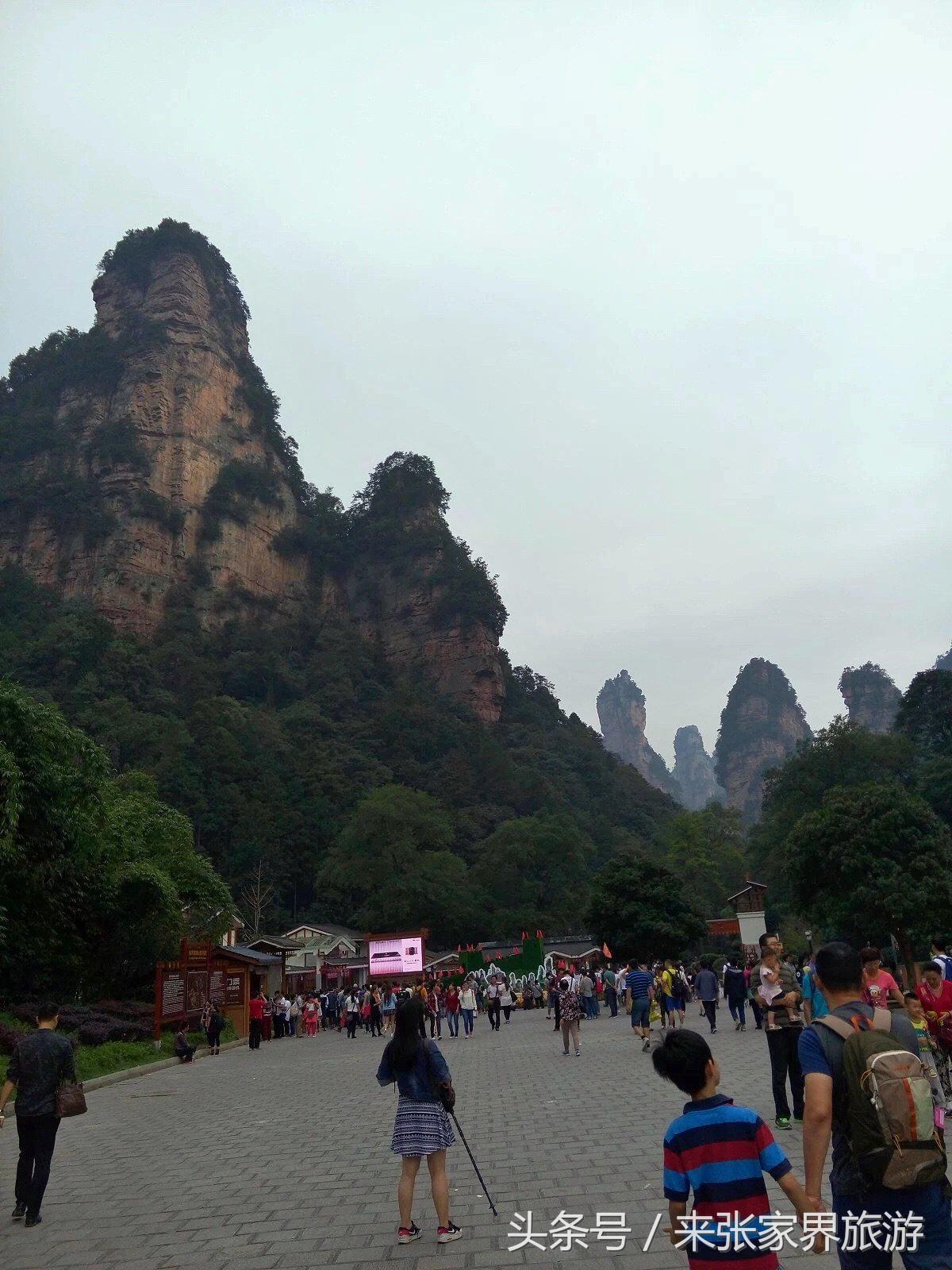 山东到张家界凤凰五日游攻略图文,佛山去张家界旅游攻略路线推荐图