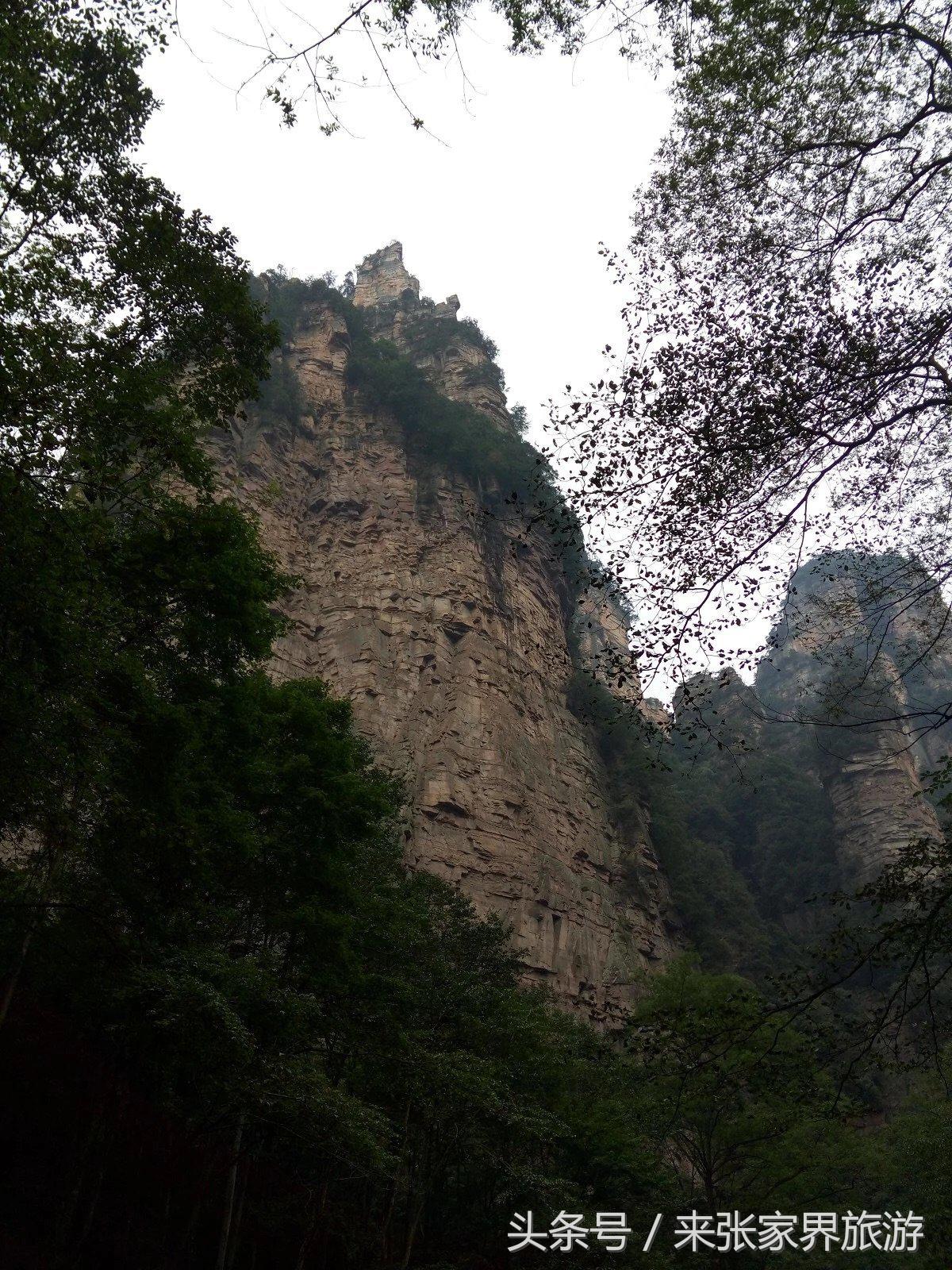 山东到张家界凤凰五日游攻略图文,佛山去张家界旅游攻略路线推荐图