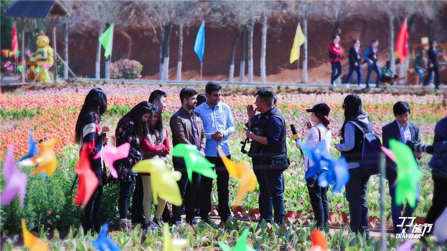 皇城相府和相府庄园是一回事吗,皇城相府到相府庄园多远