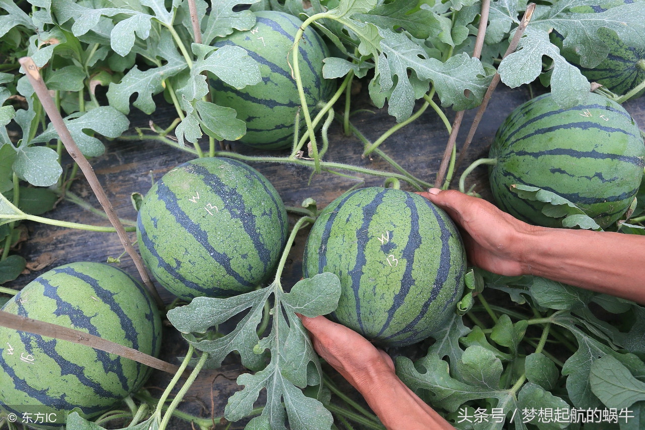 在广州有哪些适合小本创业的商机,创业项目推荐适合农村小本生意