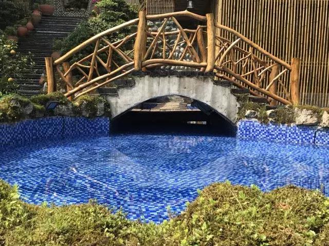 飞两千多公里,得到一座奇幻山林,一个温暖的家,一群有趣的人