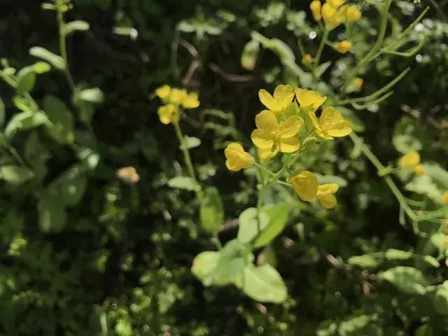 飞两千多公里,得到一座奇幻山林,一个温暖的家,一群有趣的人