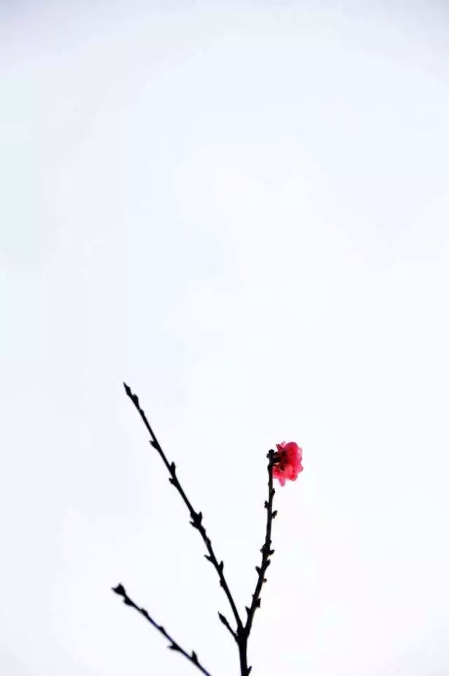 爱孩子不要太惯着他,爱孩子不要溺爱