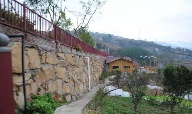 重庆风景让人一看心旷神怡的地方,秋日游重庆这里的景色别样好