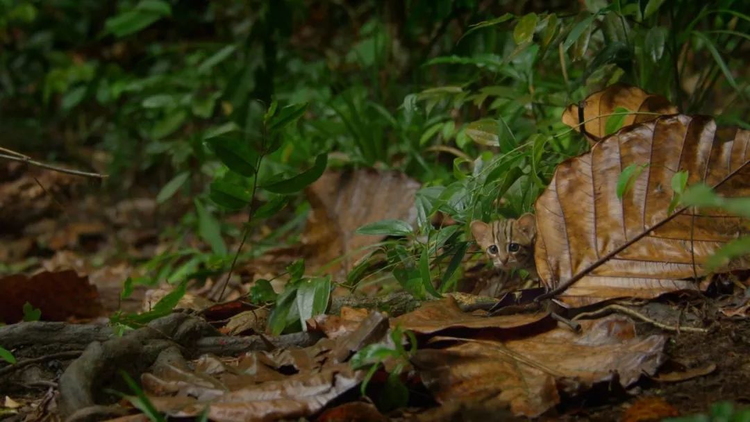 资源怎么区分,资源怎么分辨