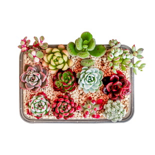 好货满减劲爆秒杀万张优惠券,2019优惠券推荐