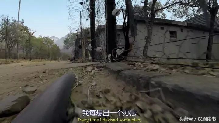 非洲平头哥张狂不是我的本性但是惹我就等于自杀