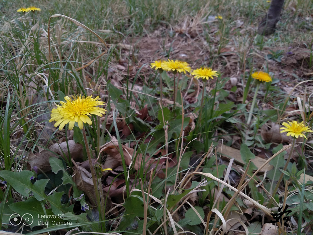 联想s5评测,联想手机s5深度评测