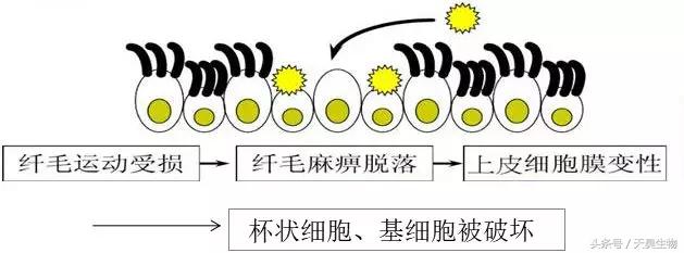 万病之源始于毒素,万病之源起于情志不畅