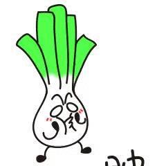 化妆棉不掉絮推荐,最好用的化妆棉真实测评推荐