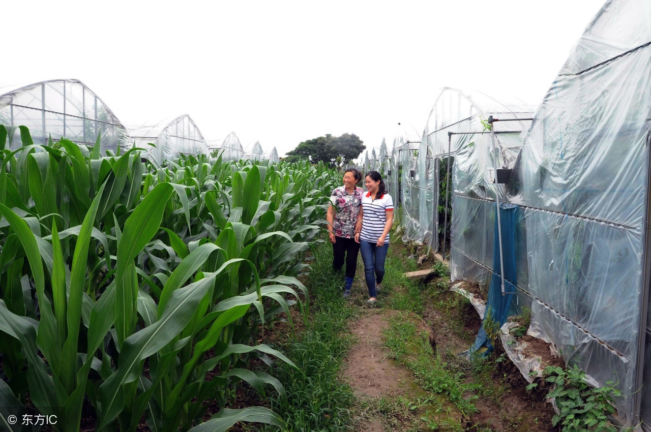 示范家庭农场申报条件,家庭农场申报条件